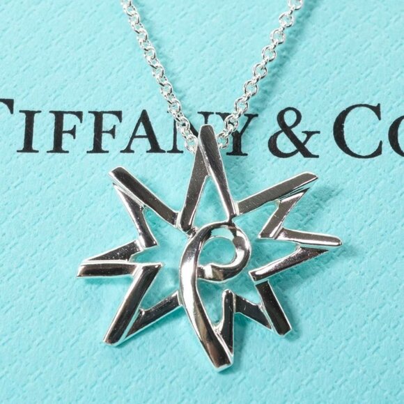 Tiffany & Co. Jewelry - Tiffany & Co Paloma Picasso Volume Star Necklace